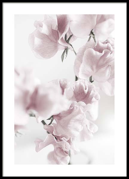 Summer Dream No1 Poster in der Gruppe Poster / Fotografien bei Desenio AB (10405)