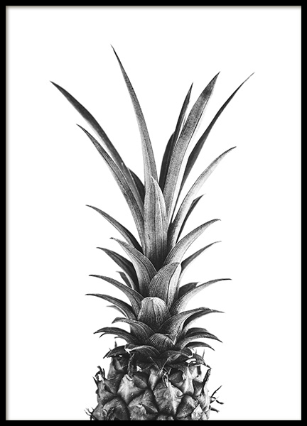 Pineapple B&W Poster in der Gruppe Poster / Schwarz-Weiß bei Desenio AB (10658)