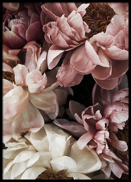 Flower Wall Poster in der Gruppe Poster / Fotografien bei Desenio AB (10990)