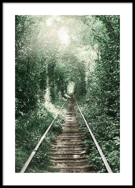 Forest Tunnel Poster in der Gruppe Poster / Naturmotive bei Desenio AB (11265)