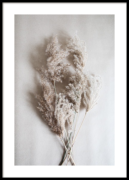 Bouquet of Autumn Reeds Poster in der Gruppe Poster / Fotografien bei Desenio AB (11798)