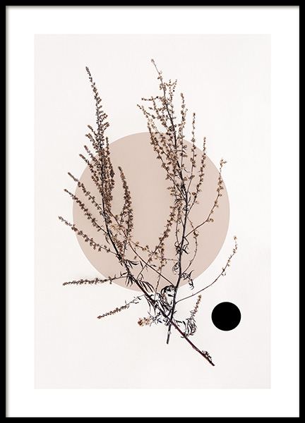Dried Leaf No4 Poster in der Gruppe Poster / Botanik bei Desenio AB (11805)