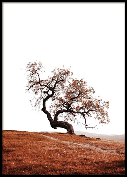 Tree on Hill Poster in der Gruppe Poster / Naturmotive bei Desenio AB (11869)