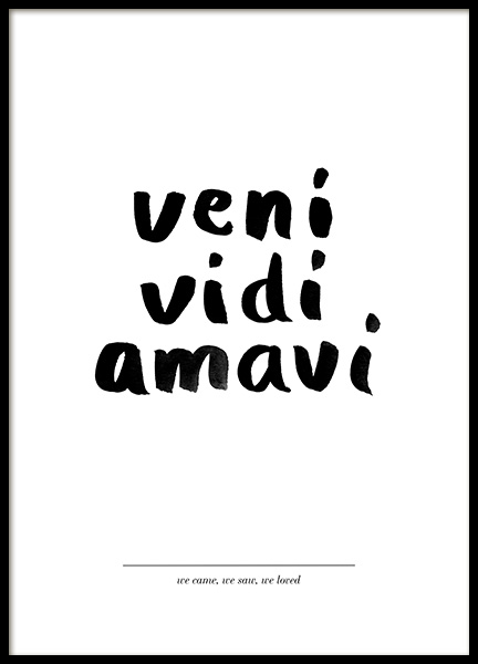 Veni Vidi Amavi Poster