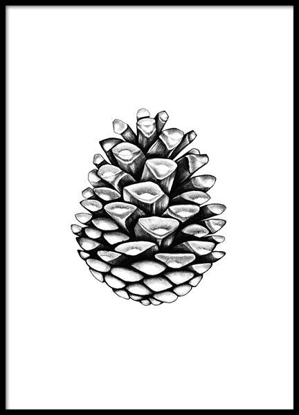 Pinecone Poster in der Gruppe Poster / Schwarz-Weiß bei Desenio AB (2274)