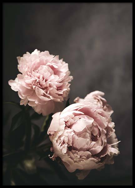 There's Beauty Poster in der Gruppe Poster / Fotografien bei Desenio AB (2788)