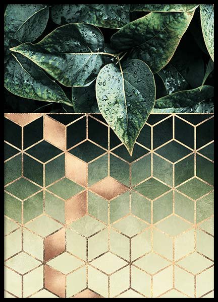 Leaves And Cubes Poster in der Gruppe Poster / Kunstdrucke bei Desenio AB (2813)