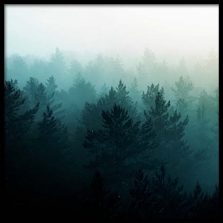 View Of Misty Forest Poster in der Gruppe Poster / Naturmotive bei Desenio AB (3567)
