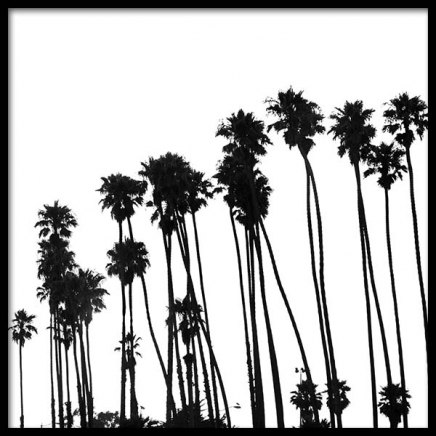 Venice Beach Palm Trees No1 Poster in der Gruppe Poster / Schwarz-Weiß bei Desenio AB (3776)