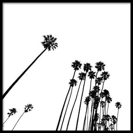 Venice Beach Palm Trees No2 Poster in der Gruppe Poster / Schwarz-Weiß bei Desenio AB (3777)