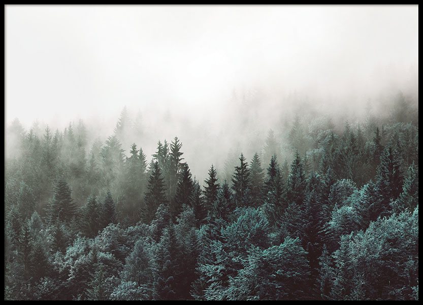 Poster mit Naturfotos für das Wohnzimmer