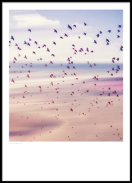 Cotton Candy Sky, Poster in der Gruppe Poster / Naturmotive bei Desenio AB (8397)