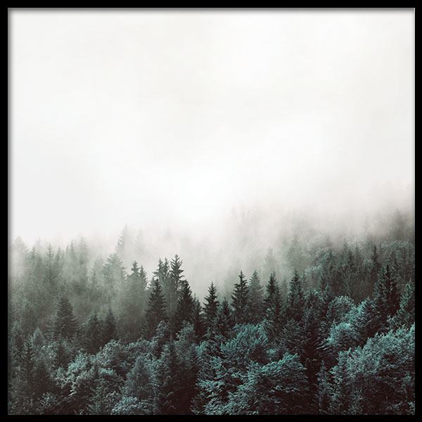 Tree Tops, Poster in der Gruppe Poster / Naturmotive bei Desenio AB (8587)