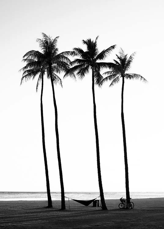  – Schwarz-weiß-Fotografie von Palmen am Strand
