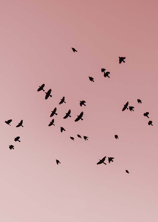 Pink Bird Sky Poster