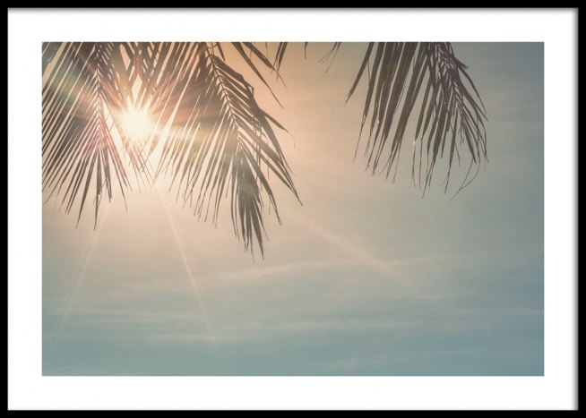 Sunset Palm Leaves Poster