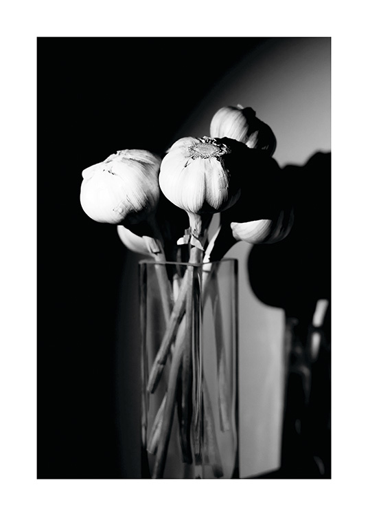 Garlic in a Vase Poster / Schwarz-Weiß bei Desenio AB (11278)