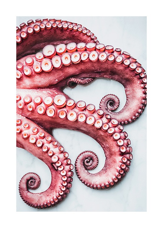 Octopus Arms Poster / Küchenposter bei Desenio AB (11519)
