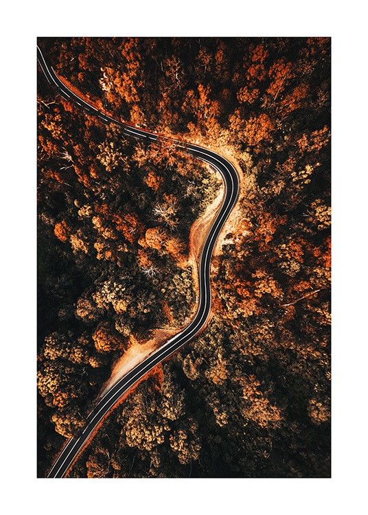 Autumn Aerial View Poster