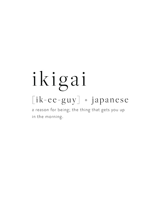 Ikigai Poster