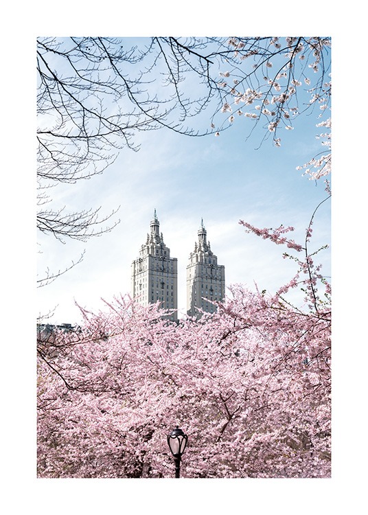  – Fotografie von Kirschbäumen vor zwei Türmen und blauem Himmel als Hintergrund