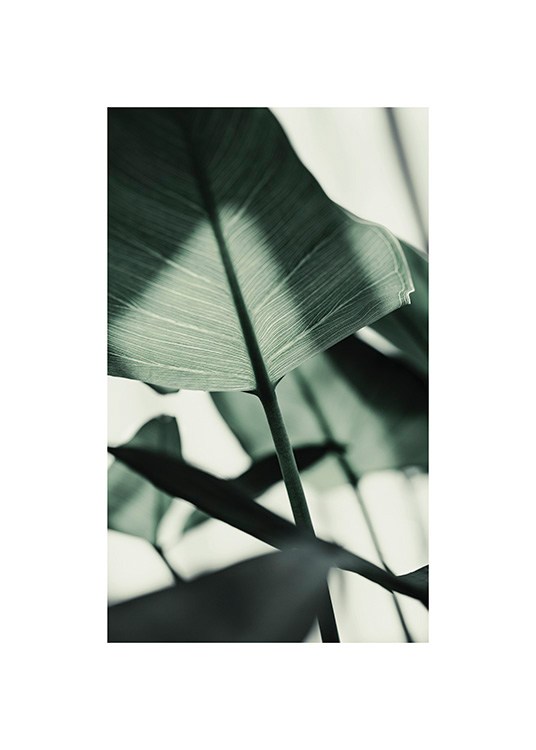  – Fotografie eines sonnenbeschienenen, grünen Blatts mit verschwommenen Blättern im Hintergrund