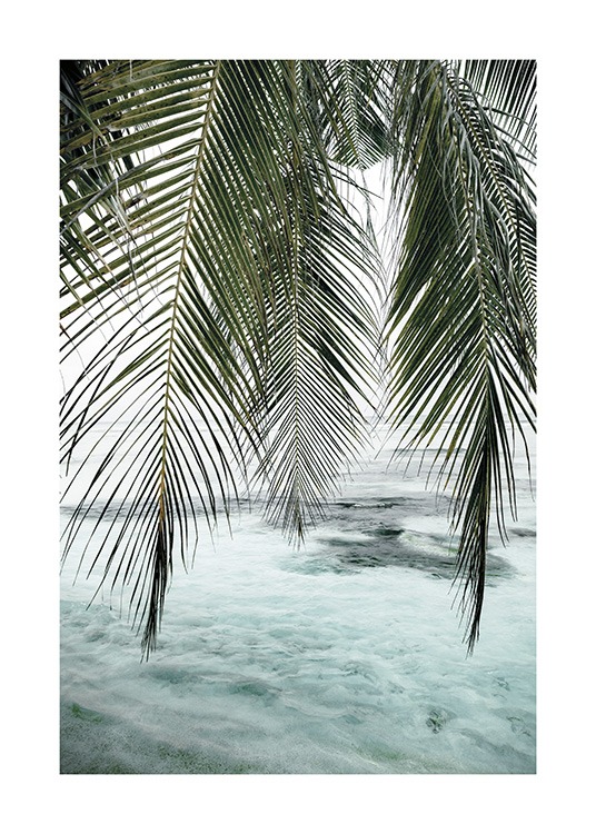 Ocean Palm Poster