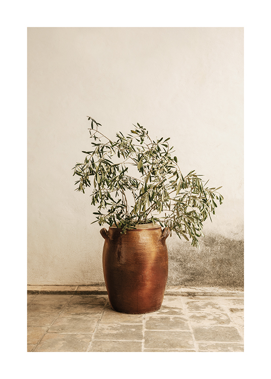 Rustic Olive Branch Poster Olivenzweig in Vase desenio.at