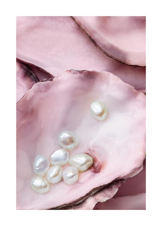 – Fotografie von rosa Austern mit weißen Perlen, die in einer der Austern liegen