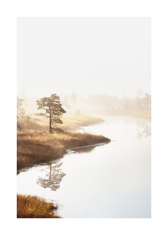  – Fotografie von Bäumen und Gras am Wasser, mit Nebel über der Landschaft