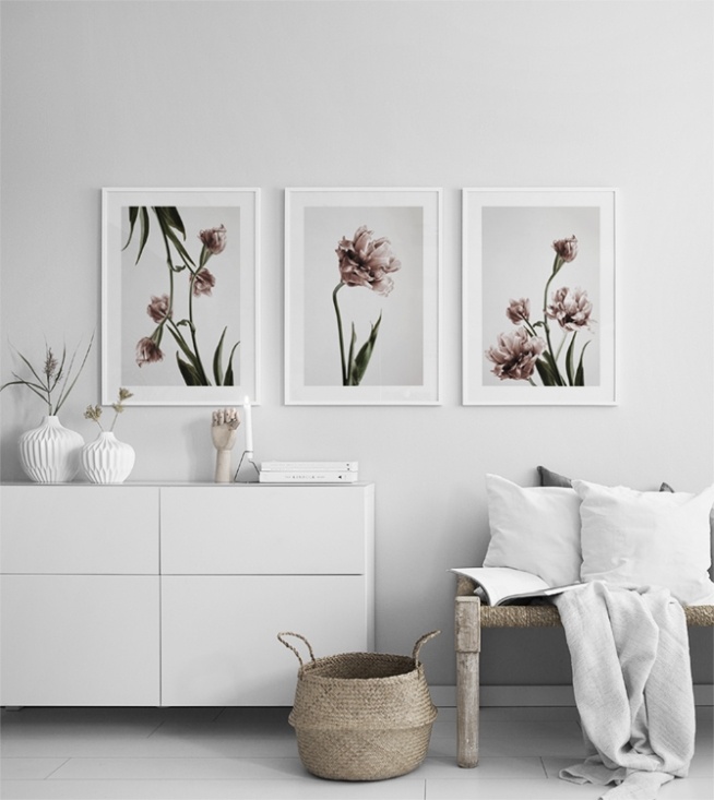  – Fotografie von einigen Tulpen in voller Blüte vor einem grauen Hintergrund