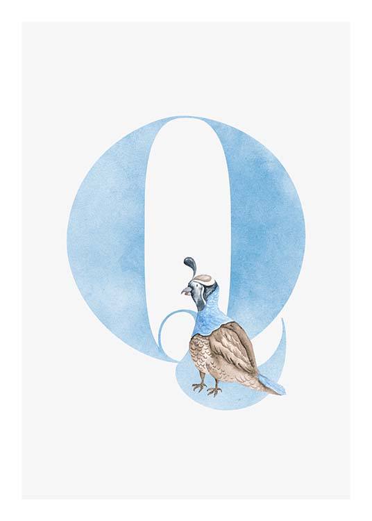Alphabet Q Poster