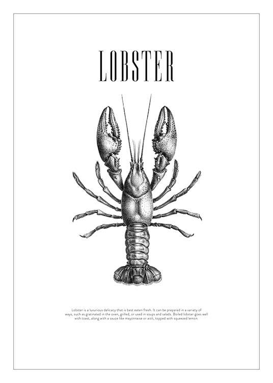 Lobster No2 Poster