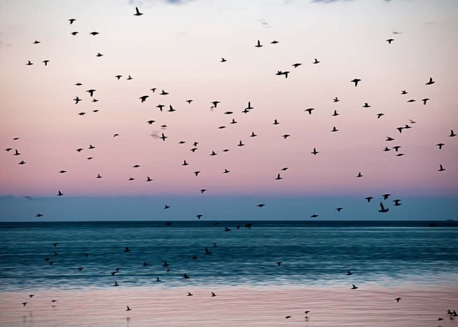 Birds At Dusk Poster