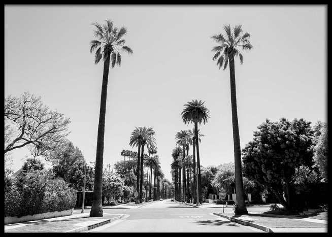 La Street Poster