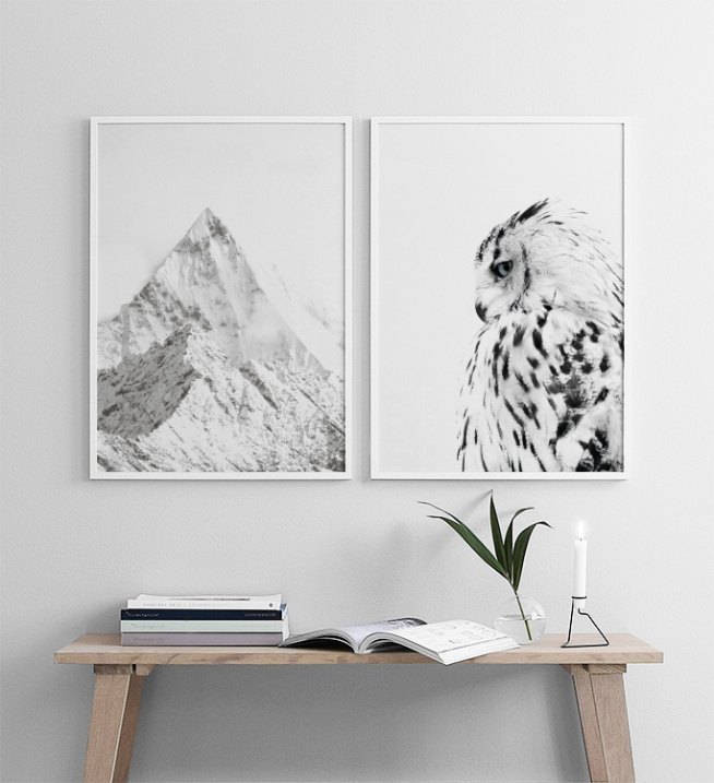 Poster Mit Foto Einer Weissen Eule Poster Desenio At