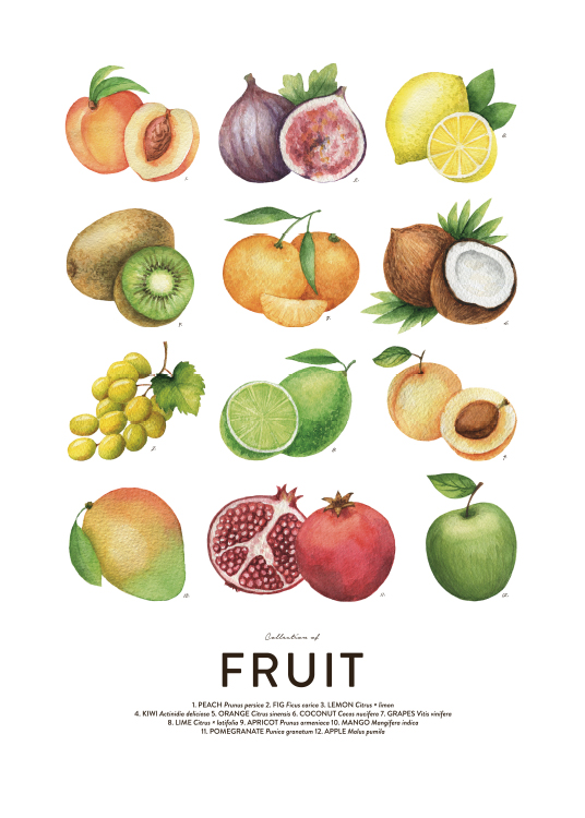 Fruit, Poster