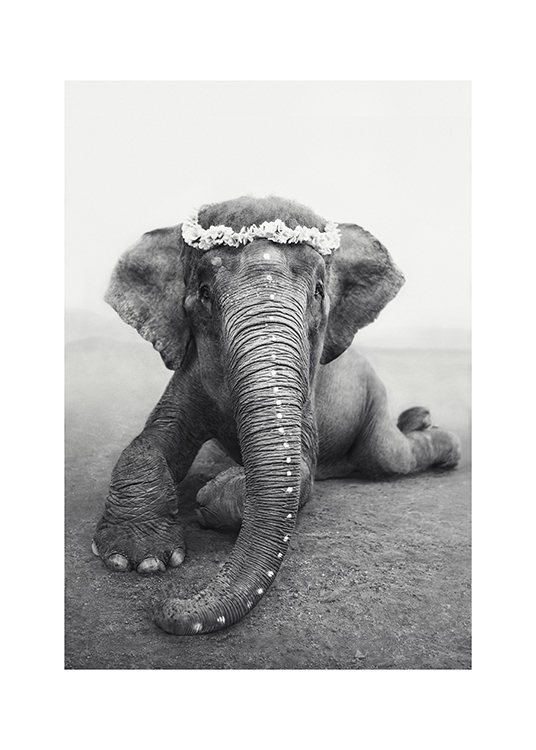 Love Warriors Sweetest Adele Poster