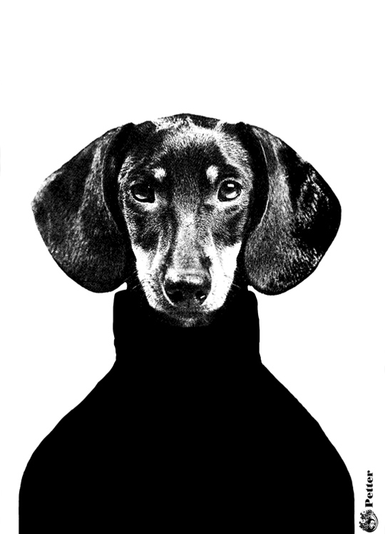 Lisa Bengtsson Petter, Poster